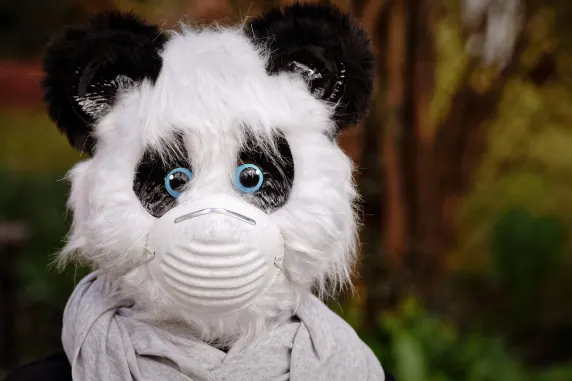 Μπιγ Αζαρτ Καζίνο Υποστηριξη